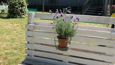 Nido Margherita Fasolo