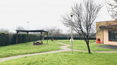 Il Pesciolino