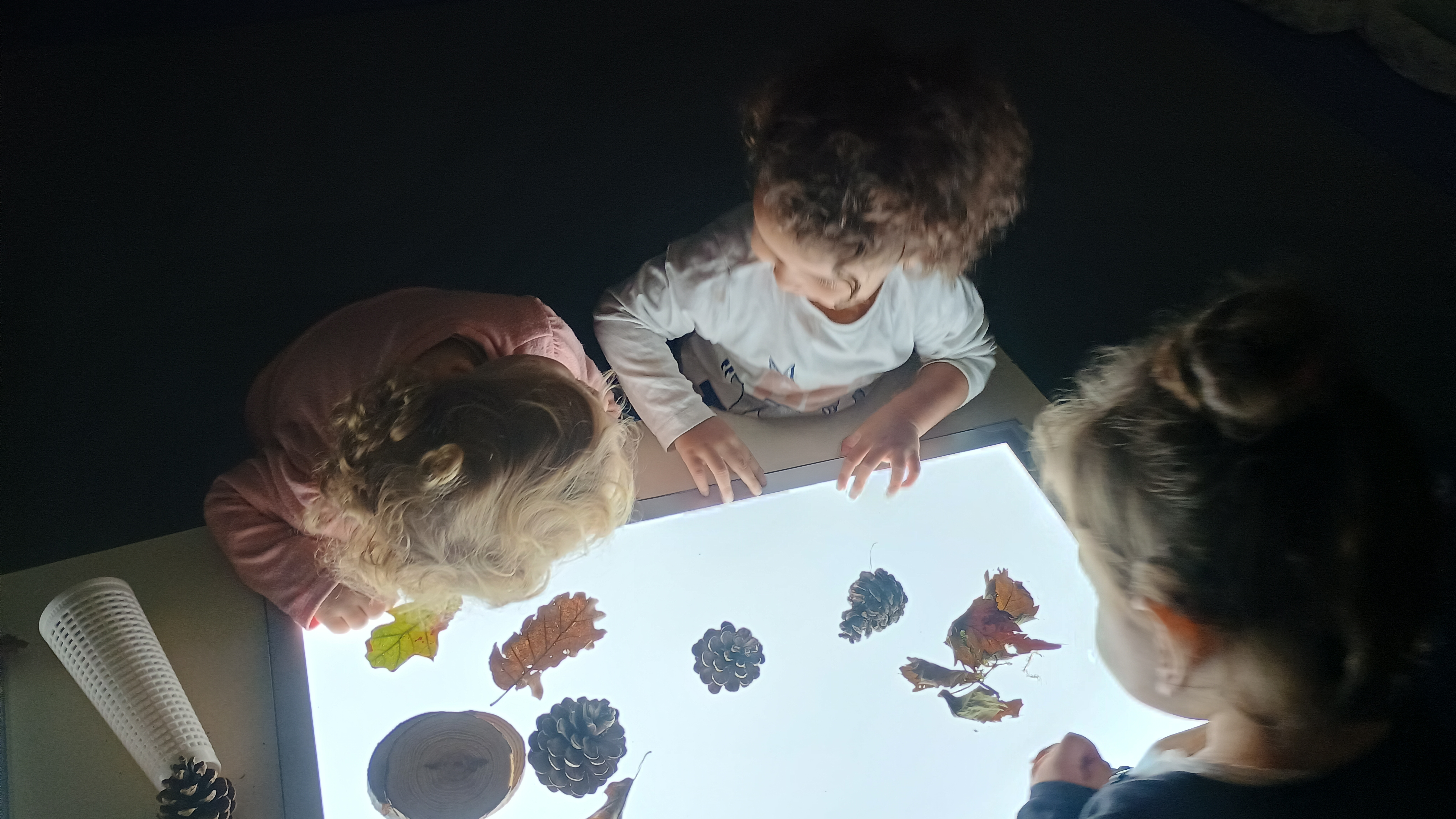 Nido d’infanzia Cascine (nome provvisorio)